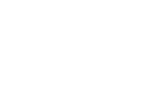 A7 logo white